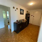 Mountain View Retreat:2-Beds Apt In Prime Location